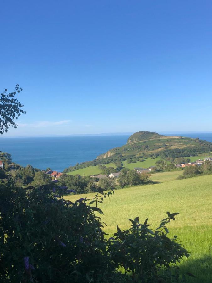 Ilfracombe Apartments Zewnętrze zdjęcie